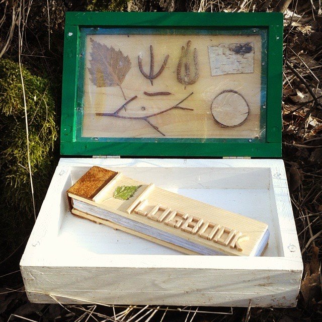 “Log”book