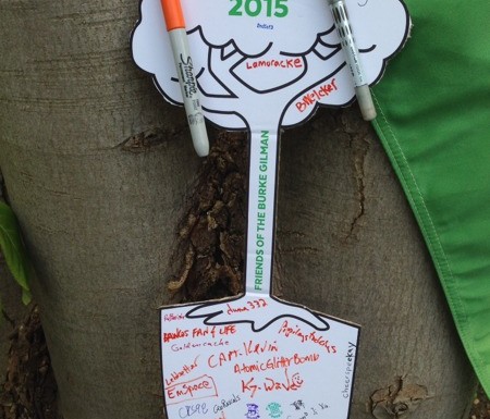 2015 CITO Weekend Event Logbook