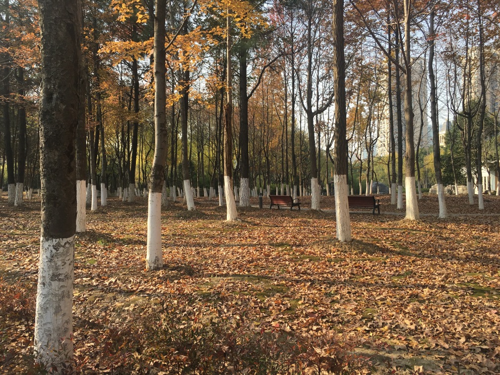 图08 藏点附近风景