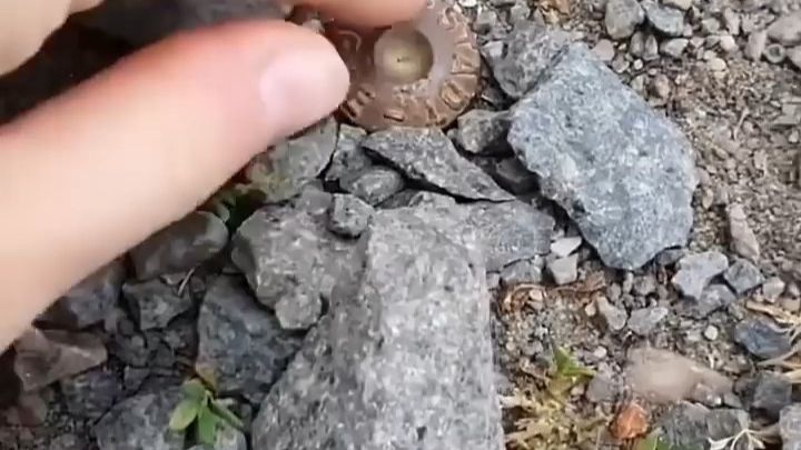 Could You Spot This Hidden Gem_ #shorts #geocaching #find