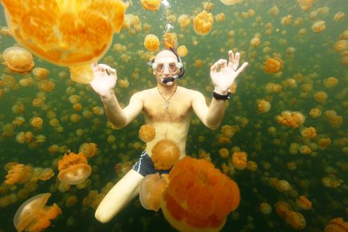 5. GC11A56 at Jellyfish Lake, Ongeim’l Tketau, in Palau