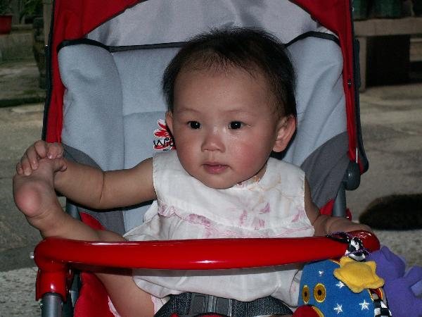 2008年，凯林奇一家的女儿坐在婴儿车里，身后是沙面的老树