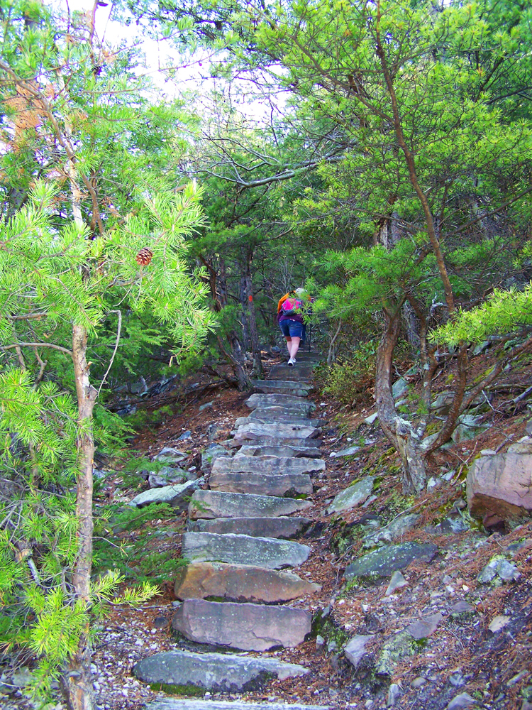 The start of the steps. Photo by Shrlock